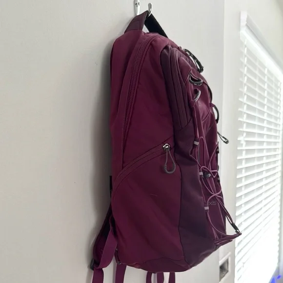 Osprey Axis Backpack in Deep Plum - Picture 3 of 14